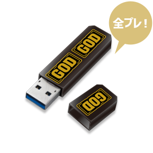 特製GOD図柄USB